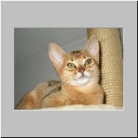 tien tot dertien weken 4.jpg